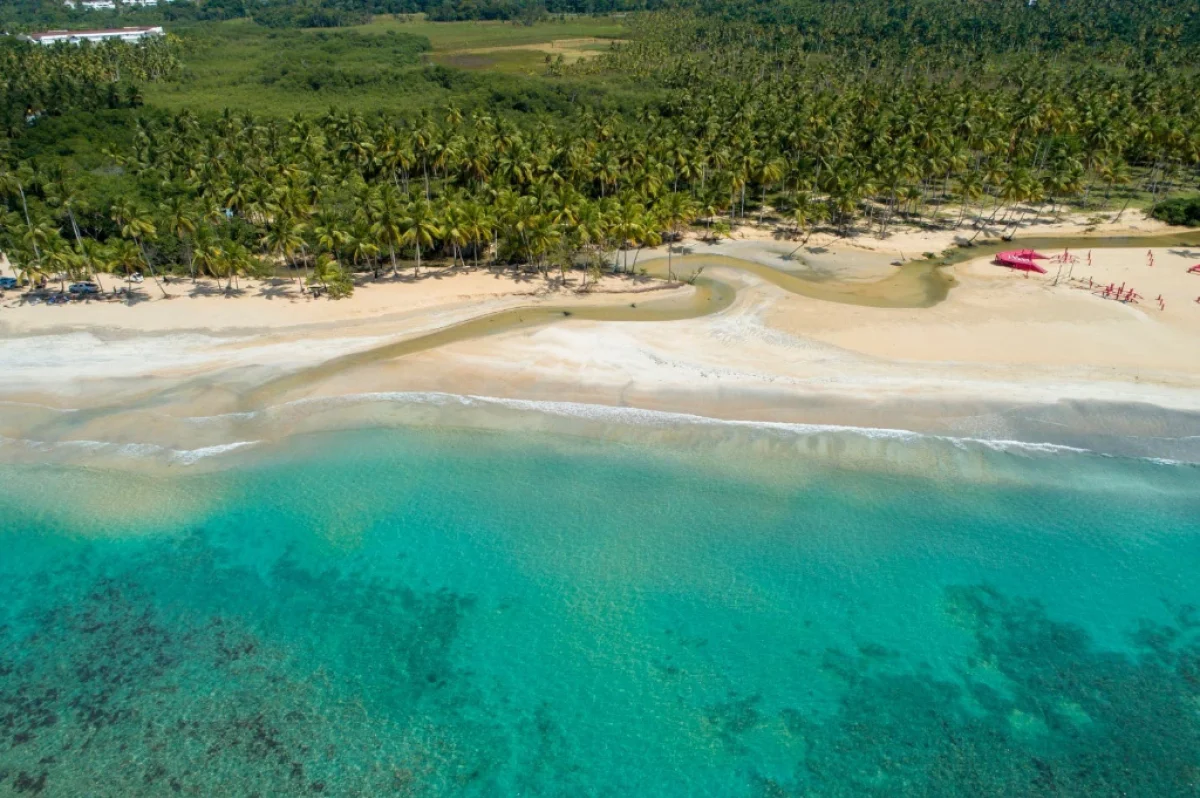 Ruta en Auto: Las Mejores Playas de Samaná