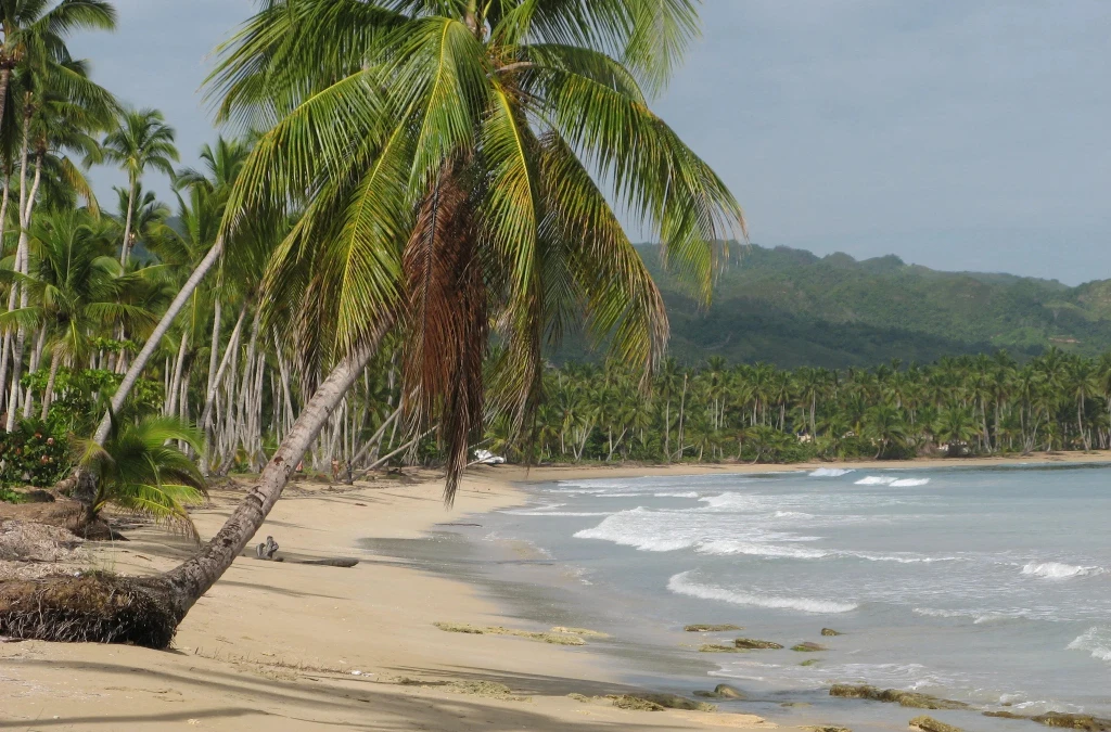 Guía de Samaná: Playas, Cascadas y Conducción
